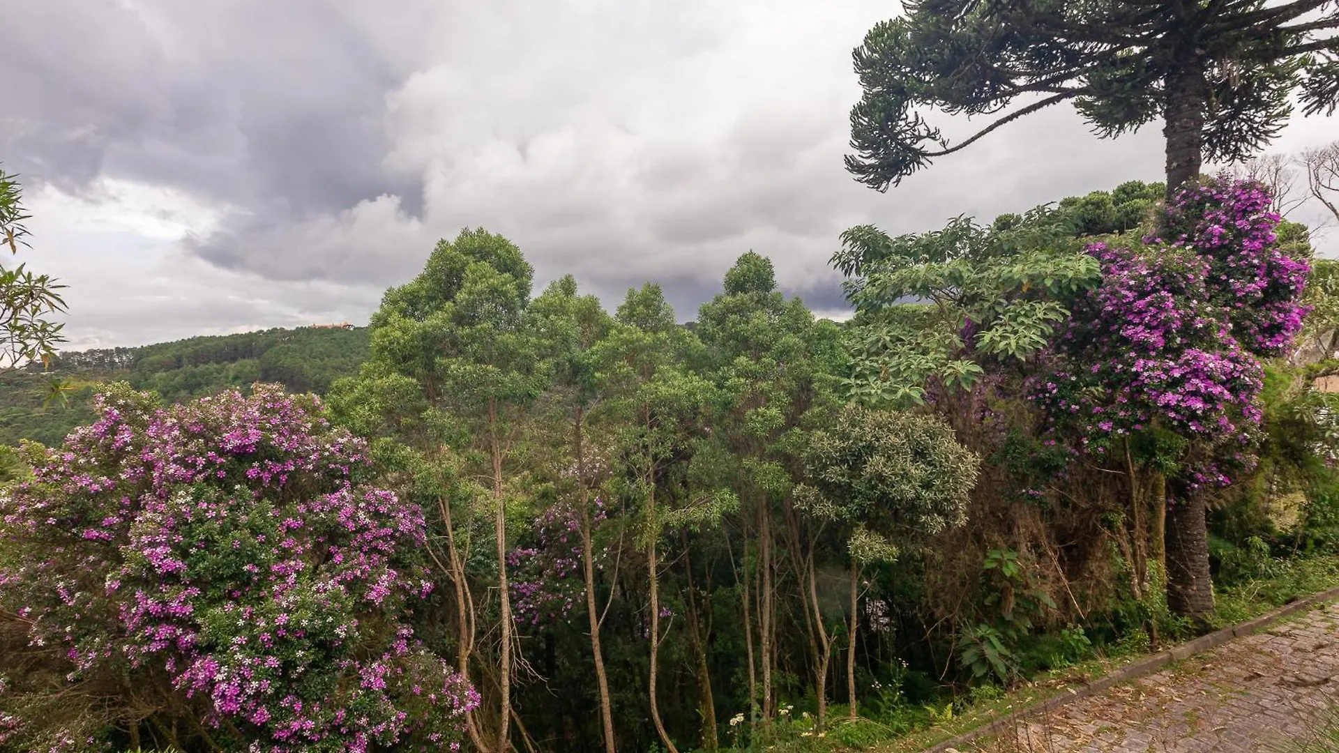 Chales Com Hidro E Lareira E Suites Villa Hegus Campos do Jordão